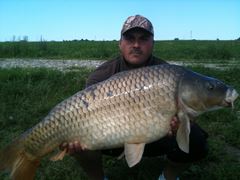 ccarp